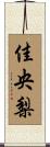 佳央梨 Scroll