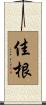佳根 Scroll