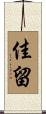 佳留 Scroll