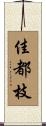 佳都枝 Scroll