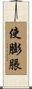 使膨脹 Scroll