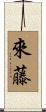 來藤 Scroll
