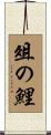 俎の鯉 Scroll