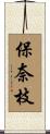 保奈枝 Scroll