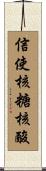 信使核糖核酸 Scroll