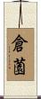 倉薗 Scroll
