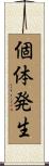 個体発生 Scroll