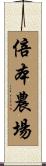 倍本農場 Scroll