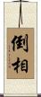 倒相 Scroll