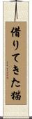 借りてきた猫 Scroll