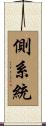 側系統 Scroll