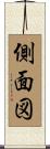 側面図 Scroll