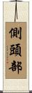 側頭部 Scroll