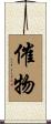 催物 Scroll