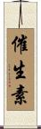 催生素 Scroll