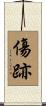 傷跡 Scroll