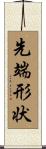 先端形状 Scroll