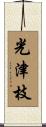 光津枝 Scroll