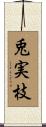 兎実枝 Scroll