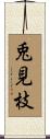 兎見枝 Scroll