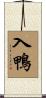 入鴨 Scroll