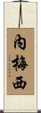 Nemesi Scroll