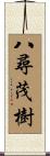 八尋茂樹 Scroll