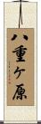 八重ヶ原 Scroll