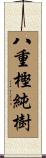 八重樫純樹 Scroll