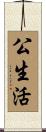 公生活 Scroll