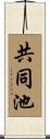 共同池 Scroll