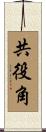 共役角 Scroll