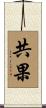 共果 Scroll