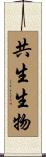 共生生物 Scroll