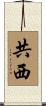 共西 Scroll