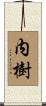 内樹 Scroll