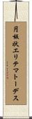 円板状エリテマトーデス Scroll