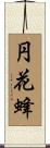 円花蜂 Scroll