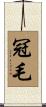 冠毛 Scroll
