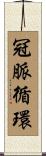 冠脈循環 Scroll