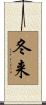 冬来 Scroll