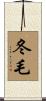 冬毛 Scroll