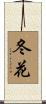 冬花 Scroll