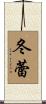冬蕾 Scroll