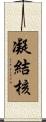 凝結核 Scroll