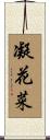 凝花菜 Scroll