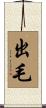 出毛 Scroll