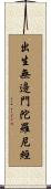 出生無邊門陀羅尼經 Scroll
