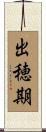 出穂期 Scroll