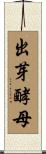 出芽酵母 Scroll